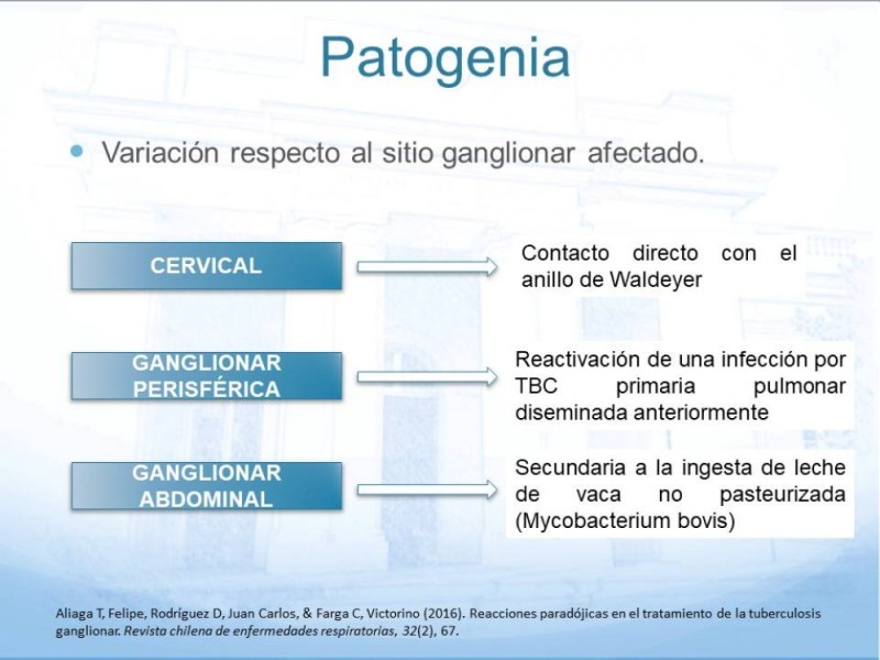 Diapositiva 3 de Tuberculosis Ganglionar