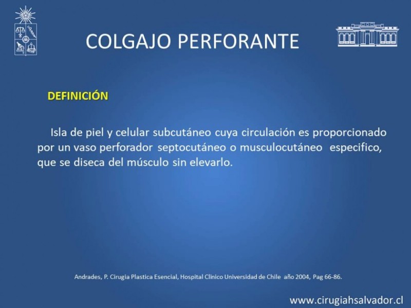 Diapositiva 9 de Aplicación Colgajos Perforantes