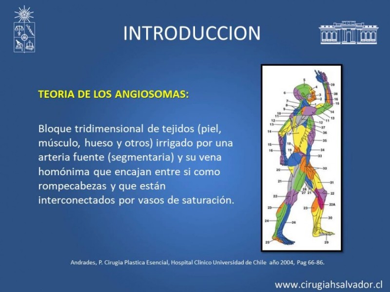 Diapositiva 5 de Aplicación Colgajos Perforantes