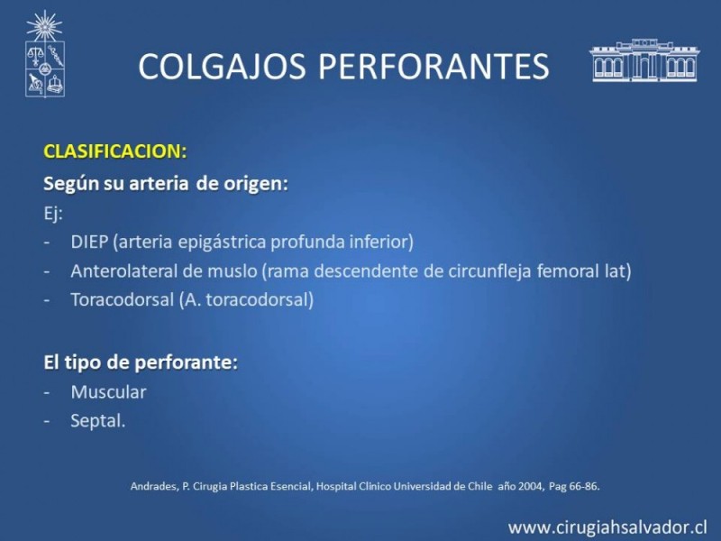 Diapositiva 13 de Aplicación Colgajos Perforantes