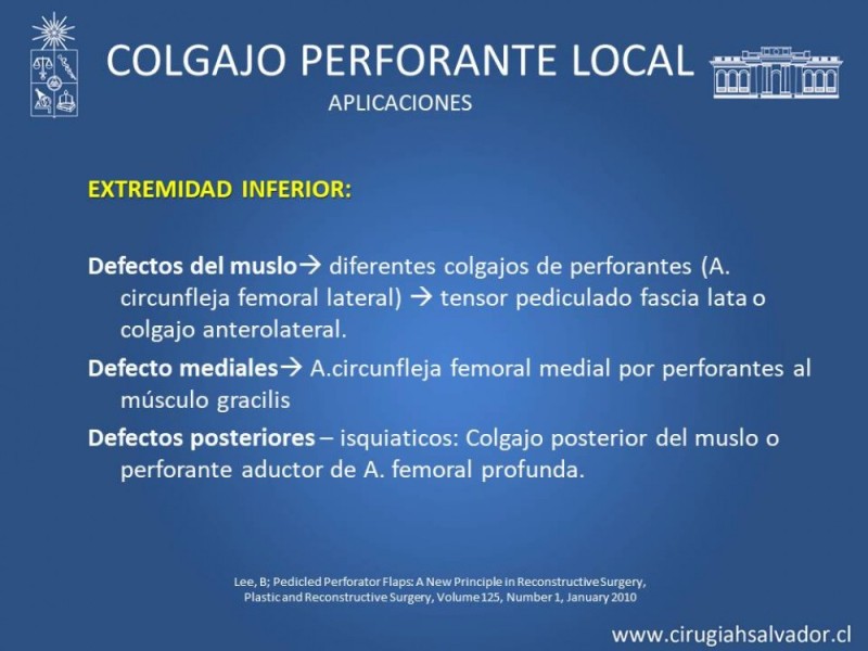 Diapositiva 31 de Aplicación Colgajos Perforantes