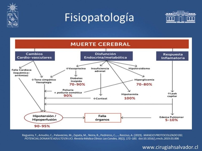 Diapositiva 4 de Muerte cerebral: manejo inicial del posible donante