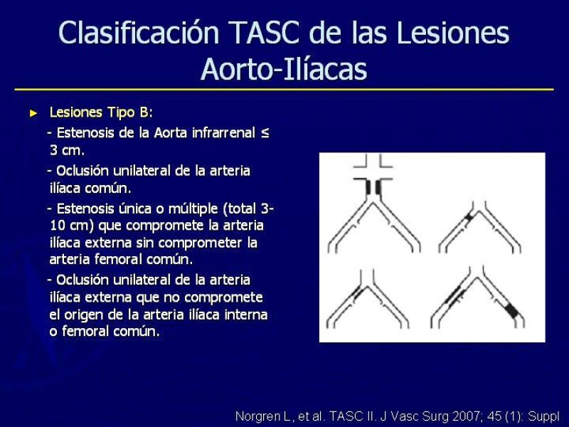 Diapositiva 3 de Clasificación, Definiciones y Estudio de EAO 