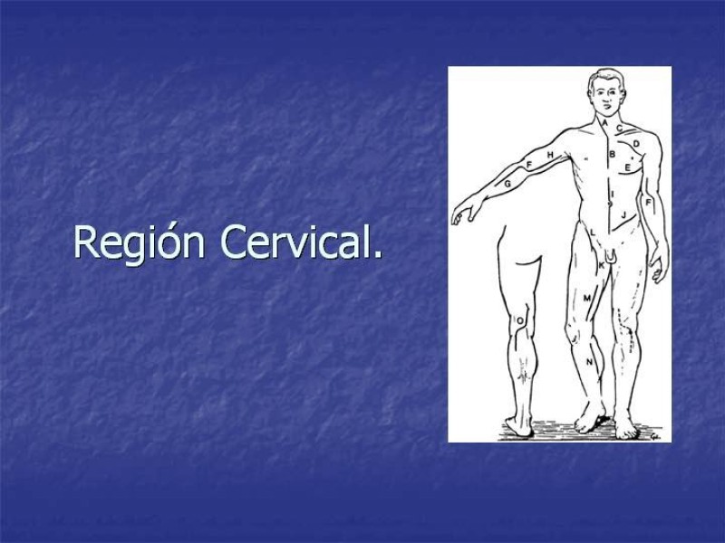 Diapositiva 10 de Abordaje Quirúrgico Vasculares