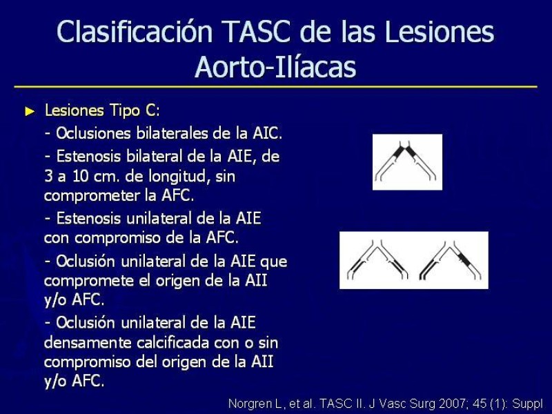 Diapositiva 4 de Clasificación, Definiciones y Estudio de EAO 
