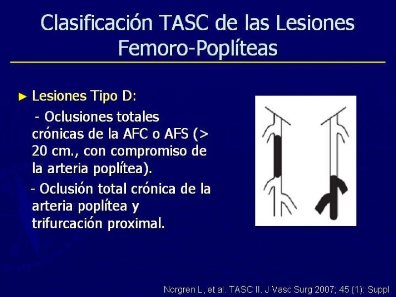 Diapositiva 9 de Clasificación, Definiciones y Estudio de EAO 
