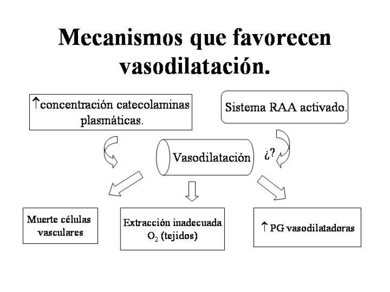 Diapositiva 4 de Sepsis y Shock séptico.