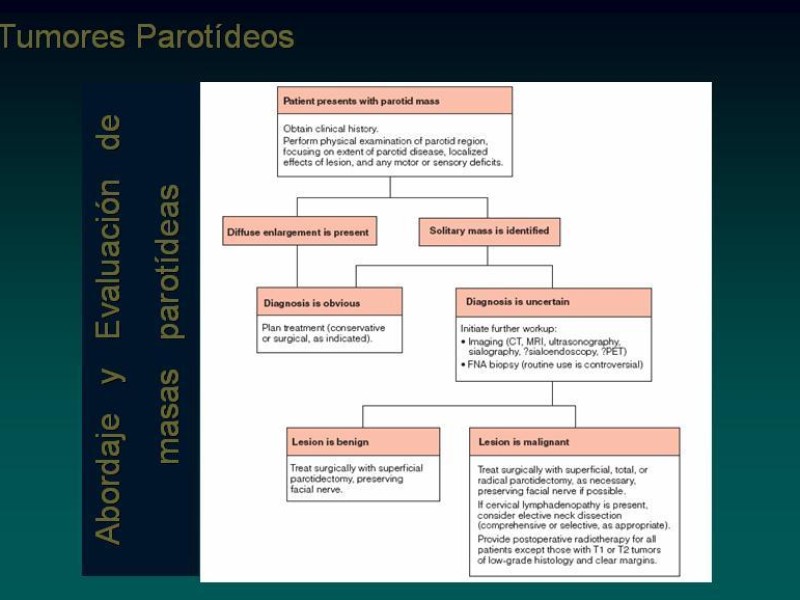 Diapositiva 13 de Masas Parotídeas