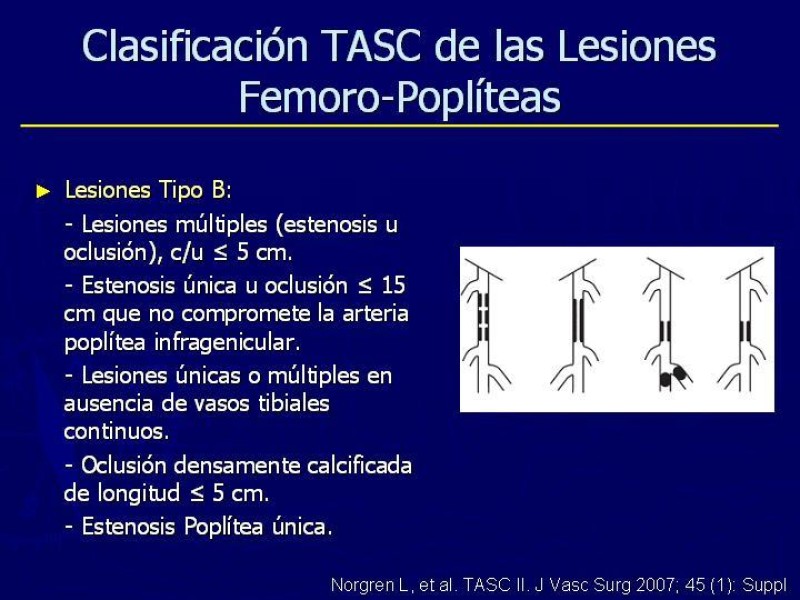 Diapositiva 7 de Clasificación, Definiciones y Estudio de EAO 