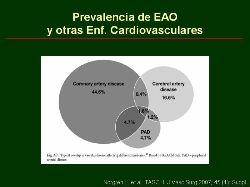 Diapositiva 13 de Clínica , Epidemiología y Factores Etiológicos de la Enf. Arterial Oclusiva Crónica