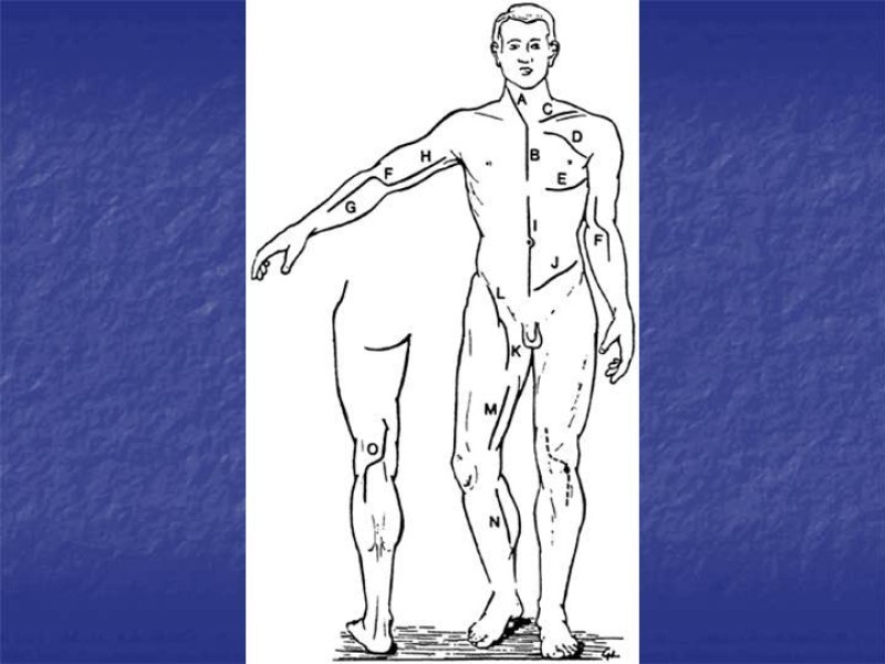 Diapositiva 123 de Abordaje Quirúrgico Vasculares