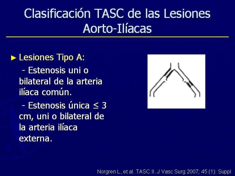 Diapositiva 2 de Clasificación, Definiciones y Estudio de EAO 