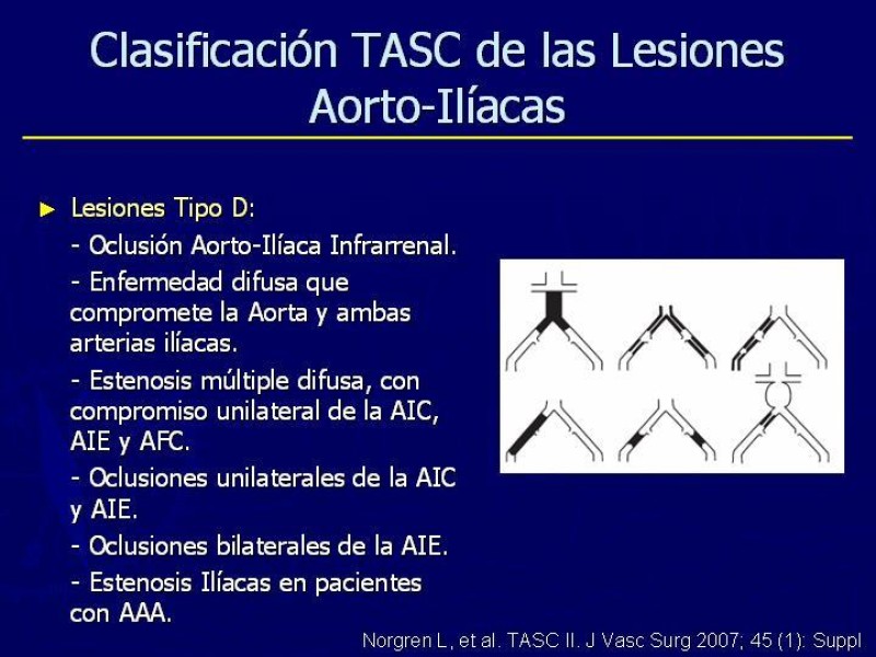 Diapositiva 5 de Clasificación, Definiciones y Estudio de EAO 