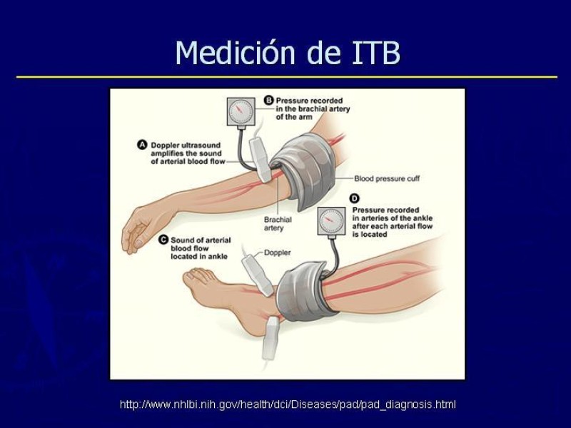 Diapositiva 20 de Clasificación, Definiciones y Estudio de EAO 