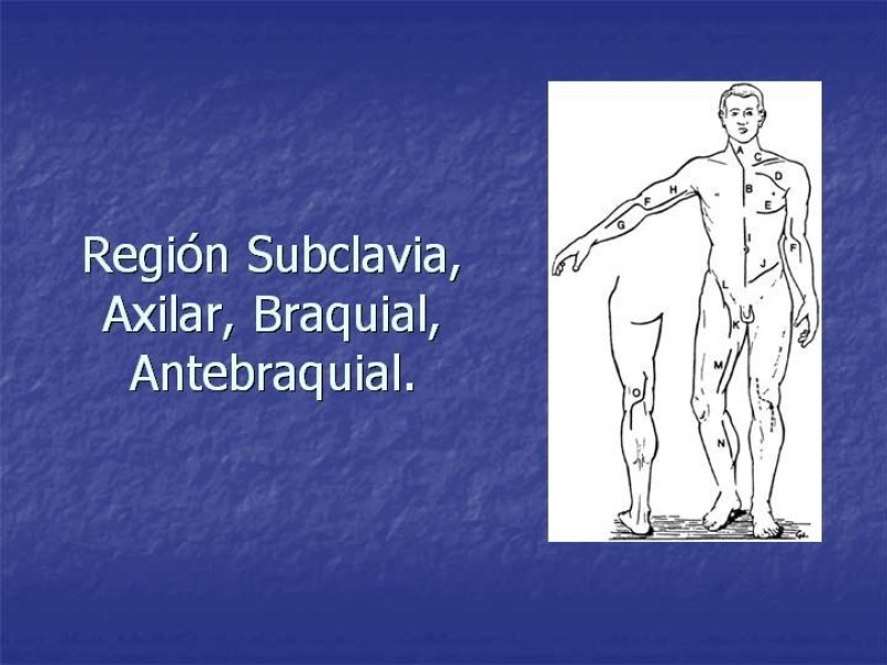 Diapositiva 37 de Abordaje Quirúrgico Vasculares