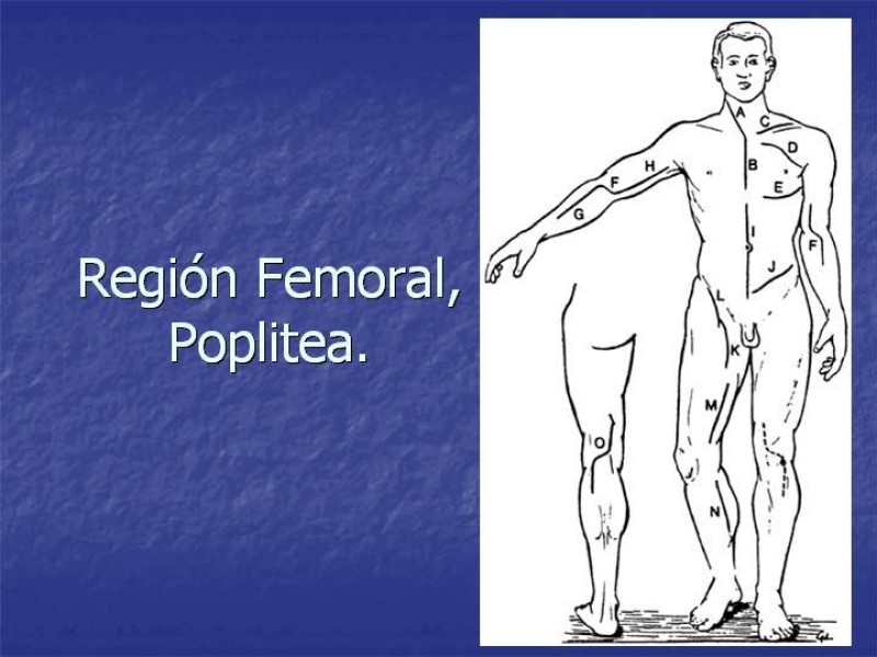 Diapositiva 78 de Abordaje Quirúrgico Vasculares