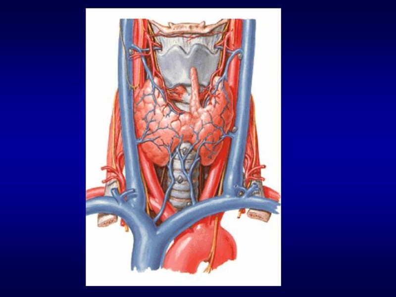 Diapositiva 9 de Tiroidectomía