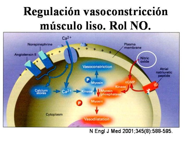 Diapositiva 6 de Sepsis y Shock séptico.