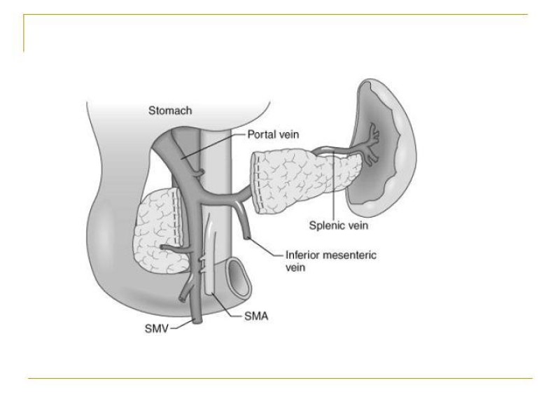 Diapositiva 37 de Accesos vasculares Abdominales