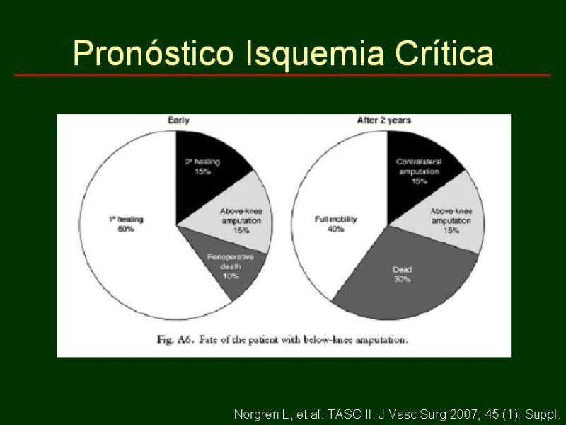 Diapositiva 23 de Clínica , Epidemiología y Factores Etiológicos de la Enf. Arterial Oclusiva Crónica