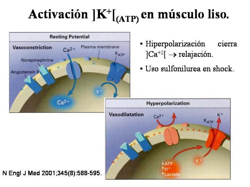 Diapositiva 7 de Sepsis y Shock séptico.
