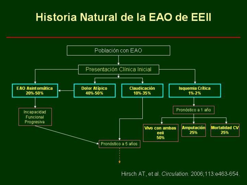 Diapositiva 17 de Clínica , Epidemiología y Factores Etiológicos de la Enf. Arterial Oclusiva Crónica