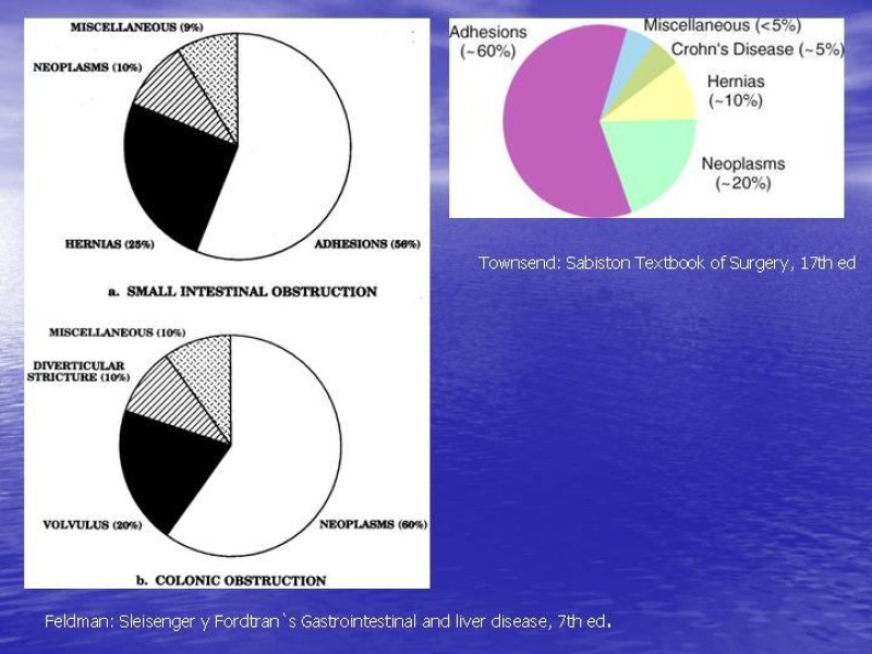 Diapositiva 7 de Obstrucción Intestinal: Estudio Diagnostico y Manejo inicial