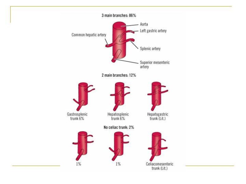 Diapositiva 60 de Accesos vasculares Abdominales