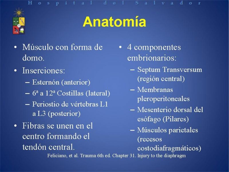 Diapositiva 4 de Hernia Hiatal