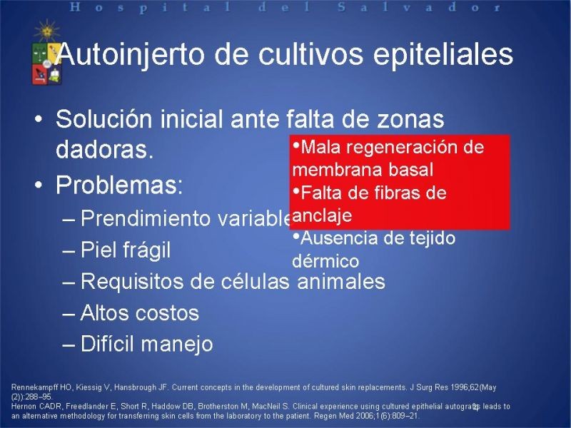 Diapositiva 3 de Sustitutos Dérmicos