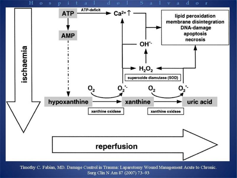 Diapositiva 6 de Trauma Abdominal: Damage Control.
