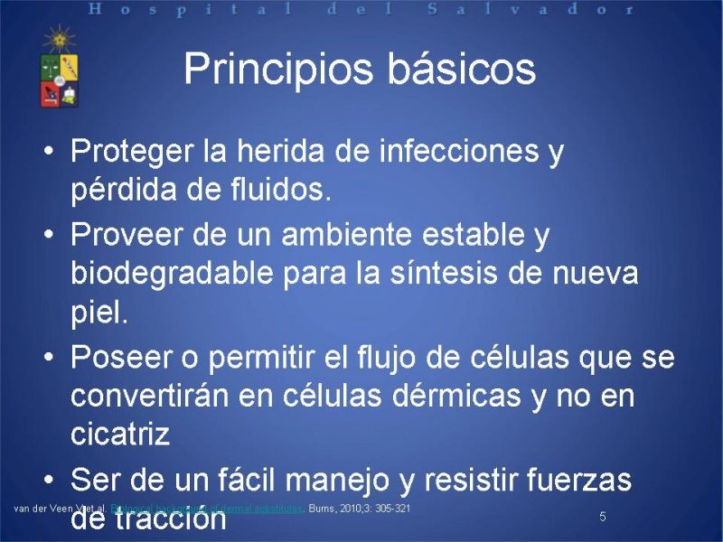Diapositiva 4 de Sustitutos Dérmicos