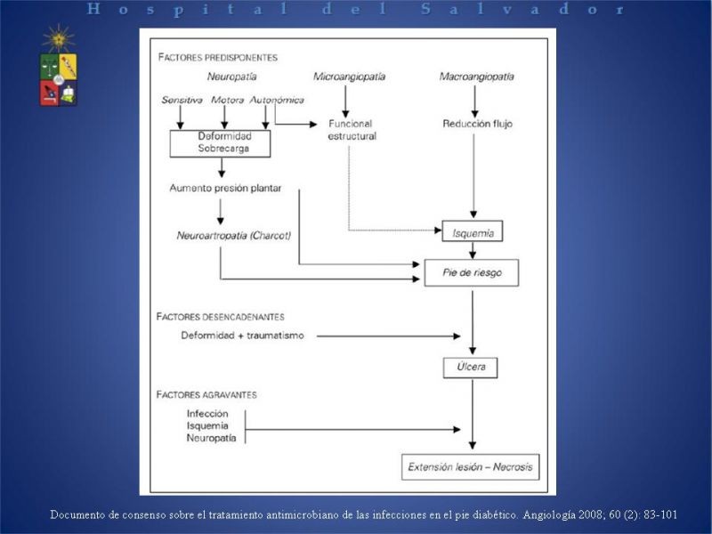 Diapositiva 5 de Uso de Antibióticos en el Pie Diabético.