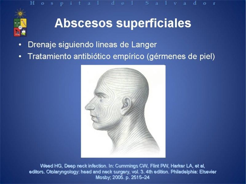 Diapositiva 4 de Abscesos Cervicales Profundos