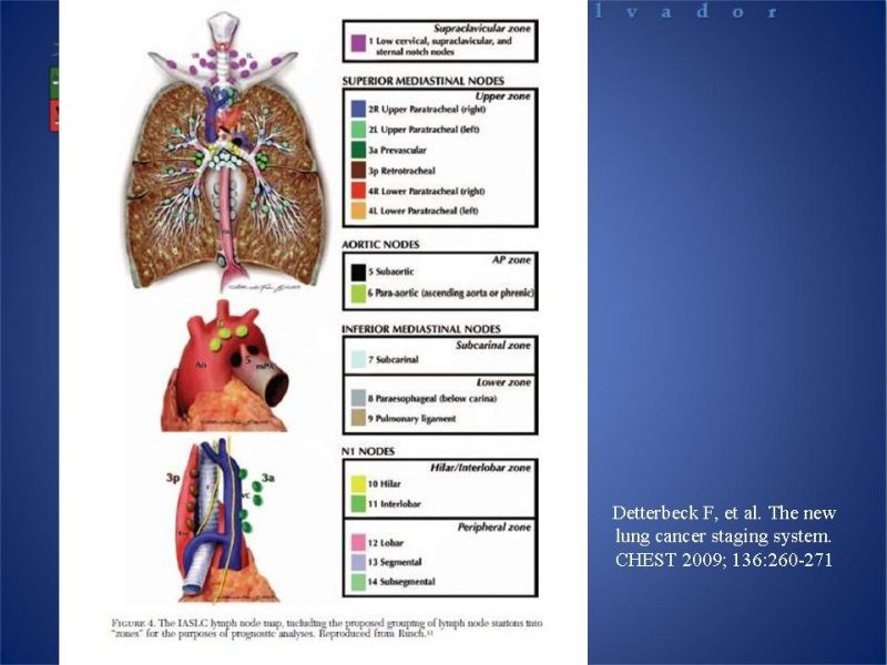Diapositiva 13 de Cáncer Pulmonar
