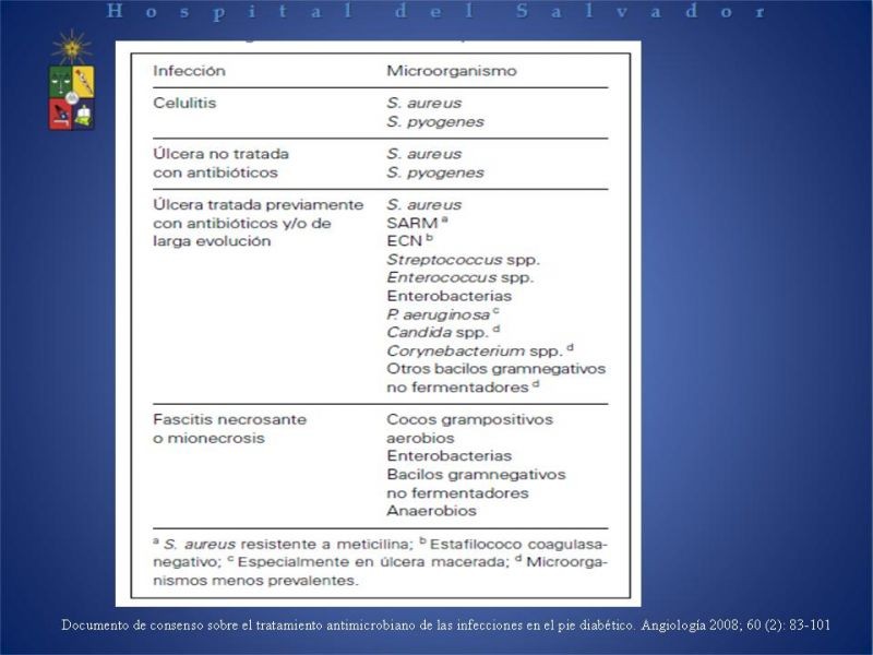 Diapositiva 12 de Uso de Antibióticos en el Pie Diabético.