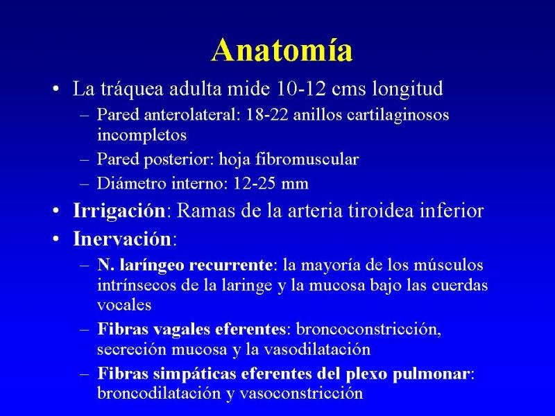 Diapositiva 4 de Traqueostomía