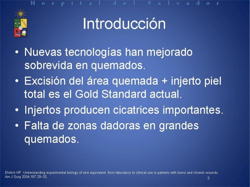 Diapositiva 2 de Sustitutos Dérmicos