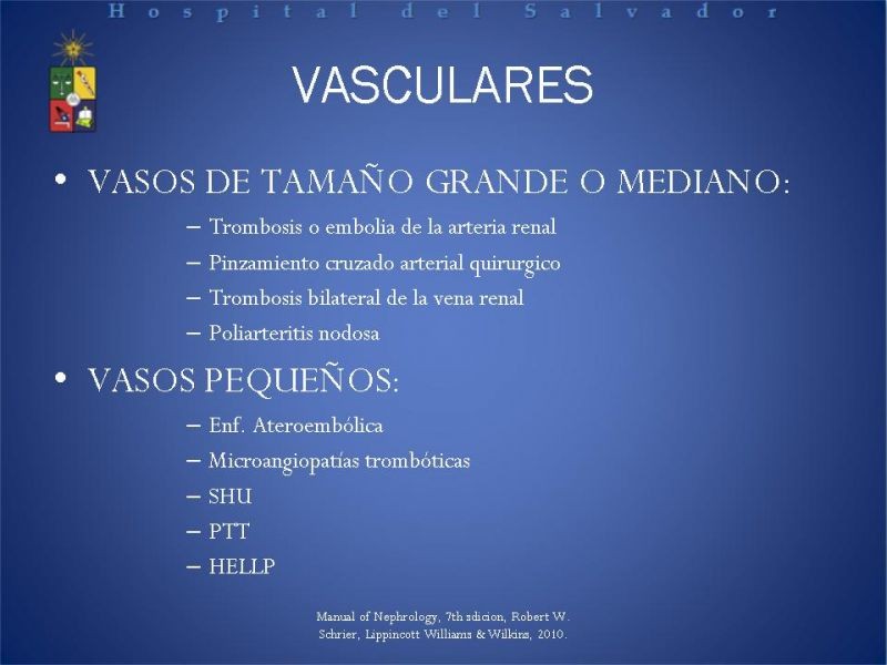 Diapositiva 17 de Insuficiencia Renal Aguda