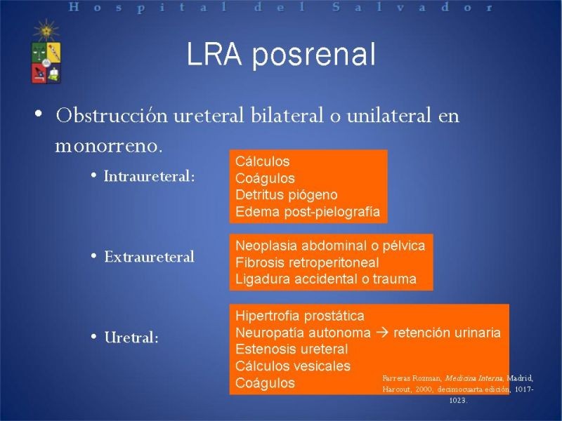 Diapositiva 15 de Insuficiencia Renal Aguda