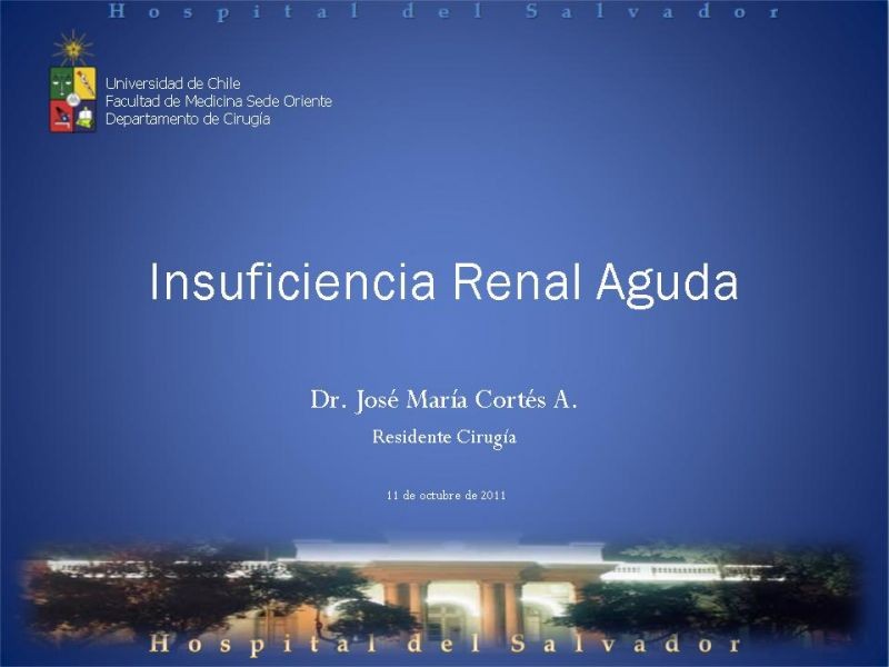 Diapositiva 26 de Insuficiencia Renal Aguda