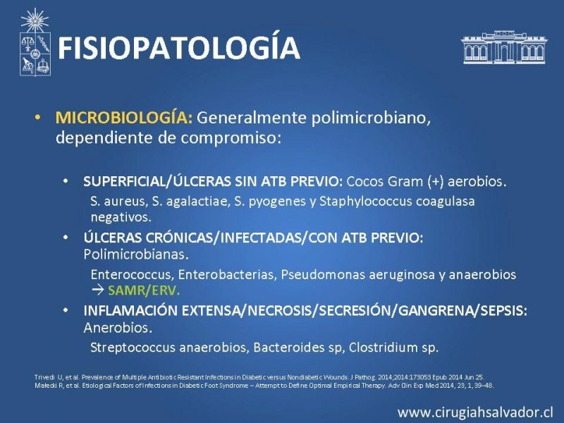 Diapositiva 4 de Pie diabético: Manejo