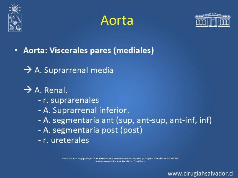 Diapositiva 28 de Damage Control Surgery (técnica quirúrgica) pt. 3