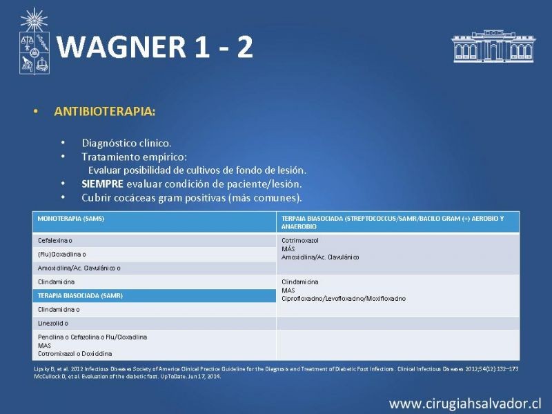 Diapositiva 10 de Pie diabético: Manejo