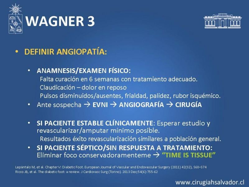 Diapositiva 14 de Pie diabético: Manejo