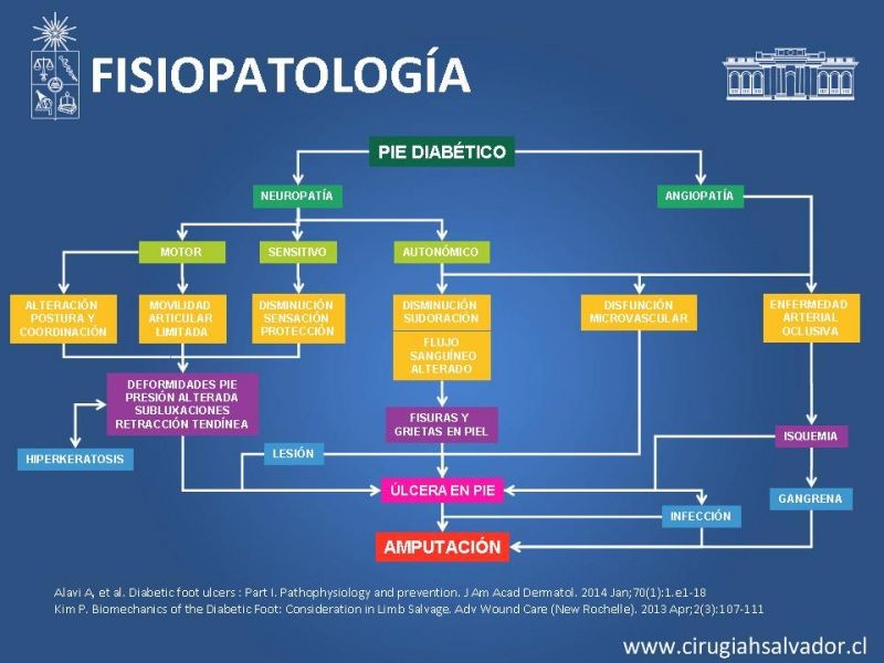 Diapositiva 2 de Pie diabético: Manejo
