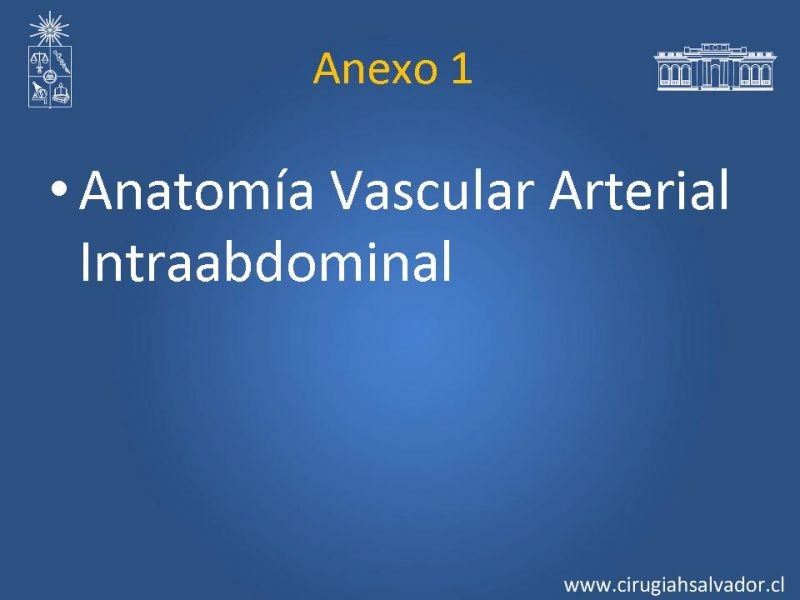 Diapositiva 25 de Damage Control Surgery (técnica quirúrgica) pt. 3