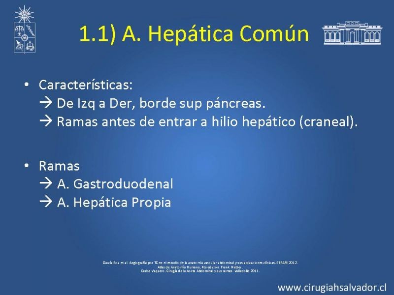 Diapositiva 9 de Anatomía e Imagenología Vascular Arterial Intra-abdominal