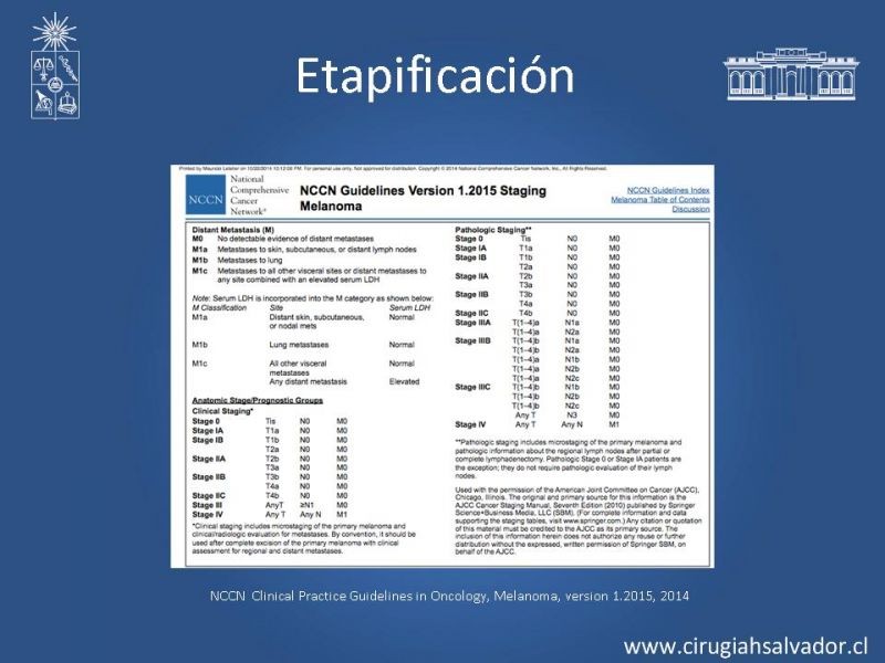 Diapositiva 13 de Melanoma