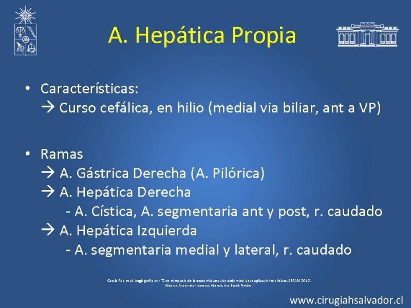 Diapositiva 15 de Anatomía e Imagenología Vascular Arterial Intra-abdominal